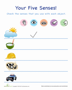 Using the Five Senses