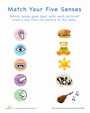 Your Five Senses: Matching 3