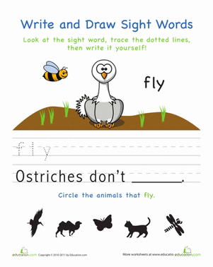 Write and Draw Sight Words: Fly