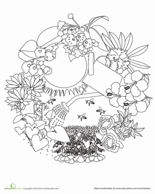 Garden Coloring Page