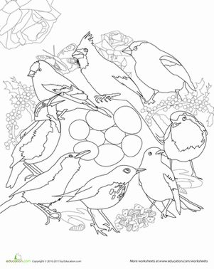 Color A Mandala: Backyard Birds