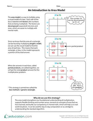 An Introduction to Area Model