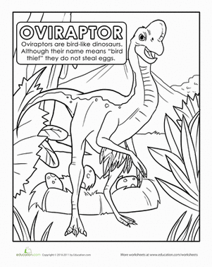 颜色恐龙:Oviraptor