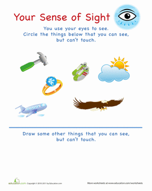 Your Sense of Sight