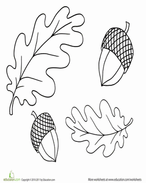Coloring Fall: Leaves and Acorns