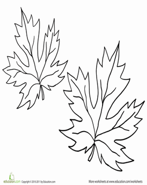 Maple Leaf Coloring Page