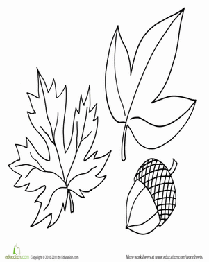 Coloring Fall: More Leaves and Acorns