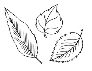 Fall Leaves Coloring Page
