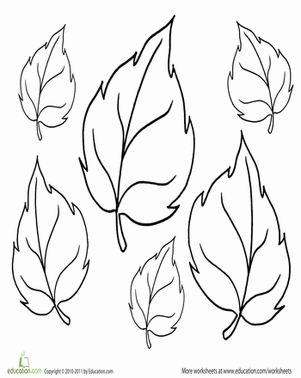 Coloring Fall: More Leaves