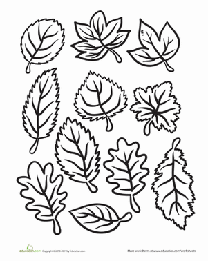 Color the Fall Leaves