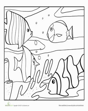 Color the Tropical Fish