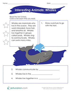 Interesting Animals: Whales