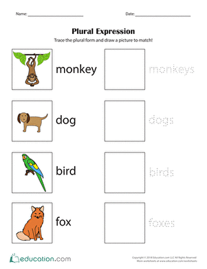 Plural Expression