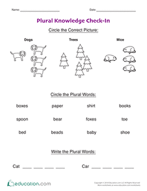 Plural Knowledge Check-In