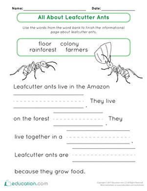 All About Leafcutter Ants