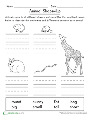Animal Shape-Up