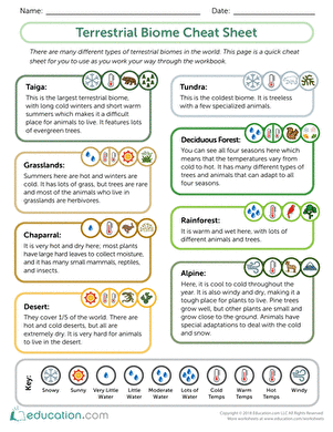 Terrestrial Biome Cheat Sheet