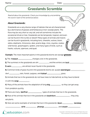 The Grassland Scramble
