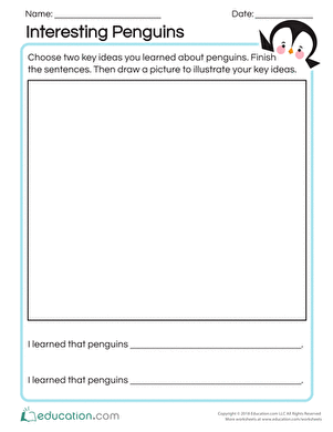Interesting Penguins