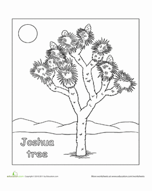 Color a Joshua Tree