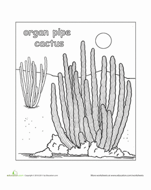 Organ Pipe Cactus Coloring Page