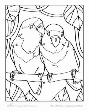 Color the Lovebirds