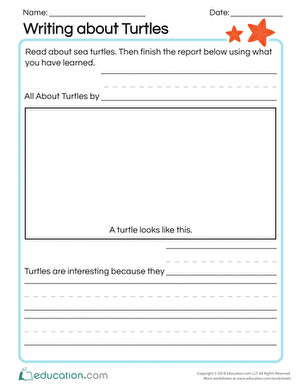 Writing about Turtles