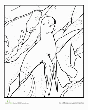 Relaxed Seal Coloring Page