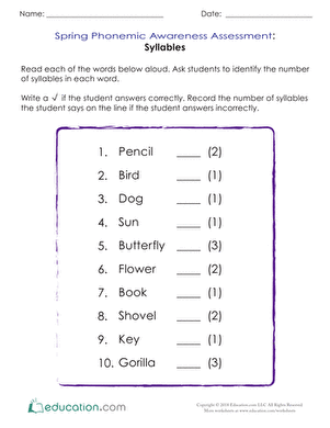 Spring Phonemic Awareness Assessment: Syllables