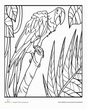 Color the Mischievous Parrot
