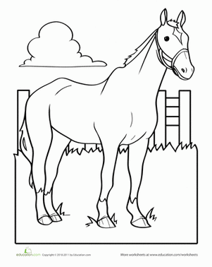 Horse Coloring Page