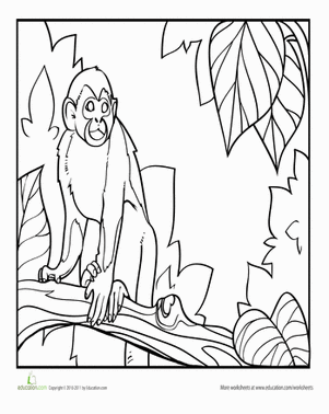 Squirrel Monkey Coloring Page