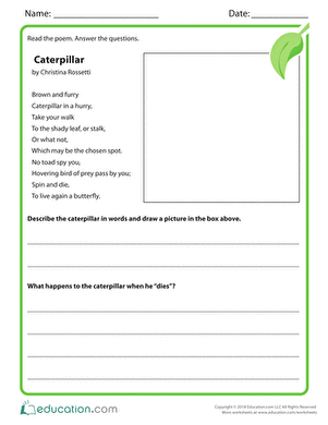 Caterpillar