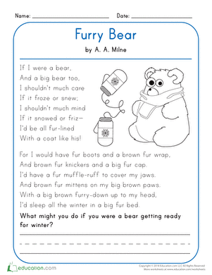 Furry Bear