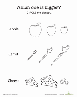 Which Food is Bigger?