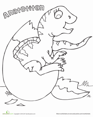 Color a Baby Anatotitan