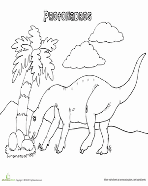 Color the Protohadros