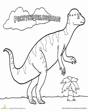 Color the Pachycephalosaurus