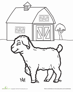 Lamb Coloring Page