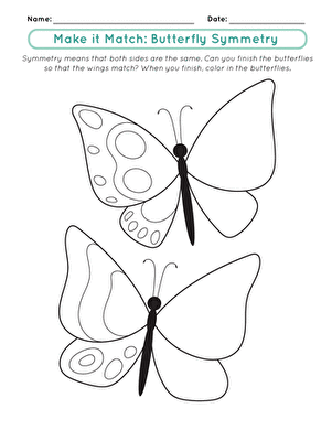 Make it Match: Butterfly Symmetry large image