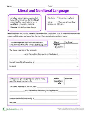 Literal and Nonliteral Language