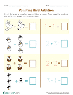 Counting Bird Addition
