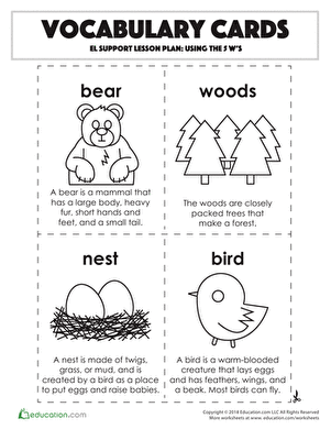 Vocabulary Cards: Using the 5 W's