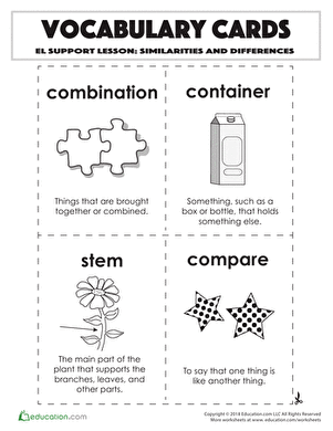 Vocabulary Cards: Similarities and Differences
