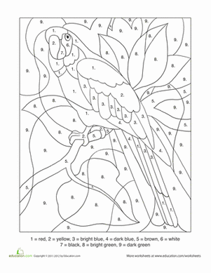 Color-By-Number: Parrot