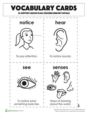 Vocabulary Cards: Describe Sensory Details