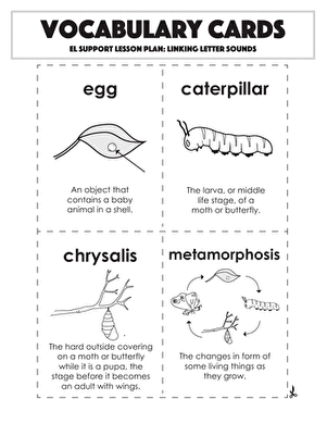 Vocabulary Cards: Linking Letter Sounds