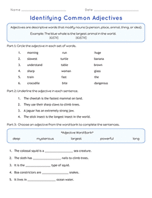 Identifying Common Adjectives