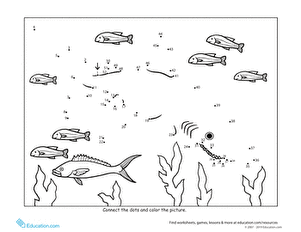 Shark Dot to Dot