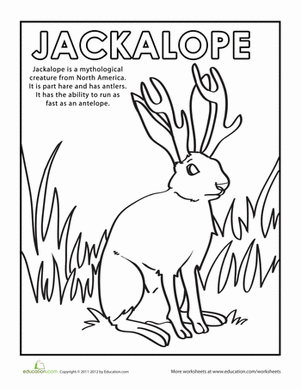 Color a Jackalope!